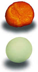 Top: spheronized extruded product   Bottom: spheronized wet granulate